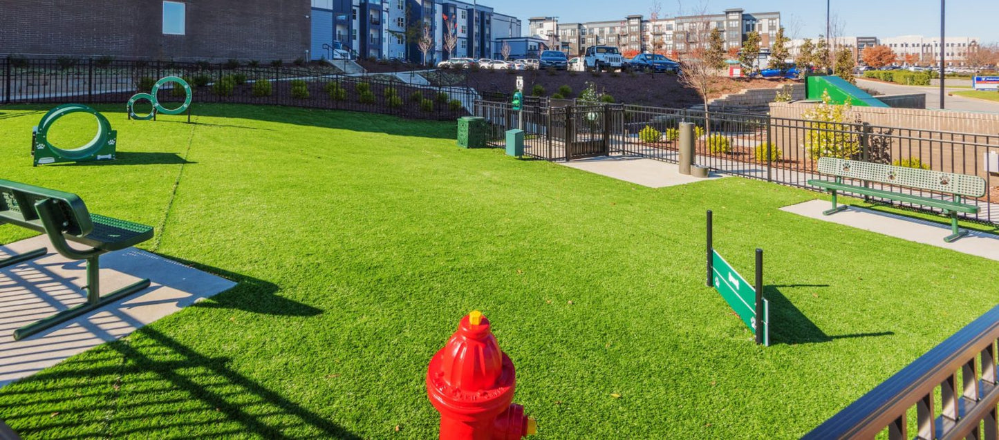 Commercial & HOA Dog Waste Cleanup